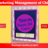 Business studies project on marketing management of chips for class 12th CBSE