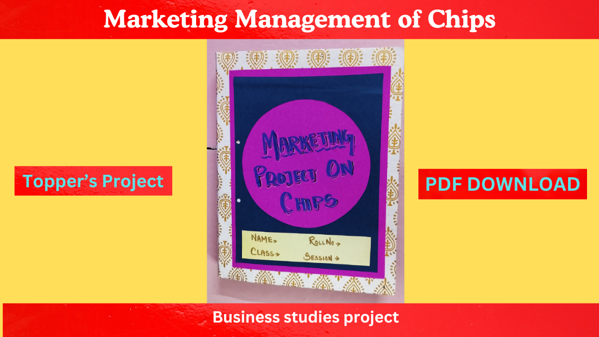 Business studies project on marketing management of chips for class 12th CBSE