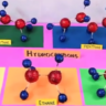 Science 3d Model on Hydrocarbons | Science Model exhibition