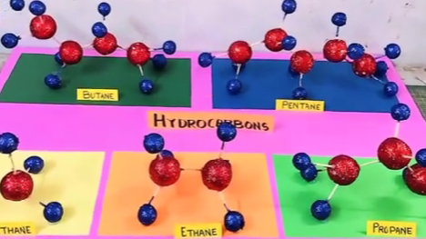 Science 3d Model on Hydrocarbons | Science Model exhibition