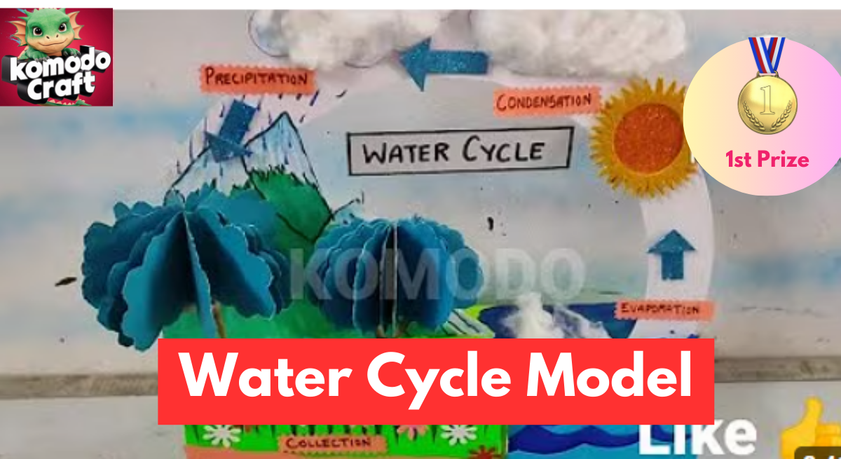 Water Cycle model for School Project | Water Cycle 3d model for Science Exhibition