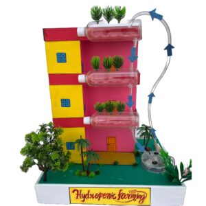 Komodo Craft Hydroponic Farming Working Model (DIY Kit) with Water Pump – 3D School Science Project